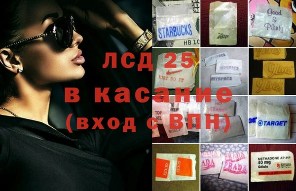 шишки Пролетарск